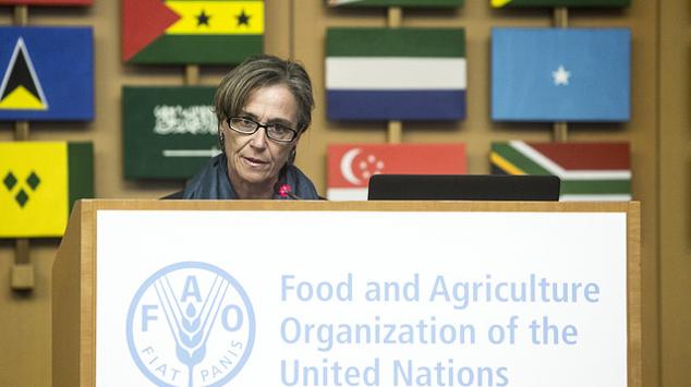 FAO food policy 2