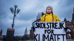 fridays for future 1024x644