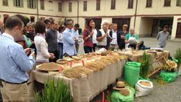 Ager a LInea Verde