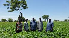 Agricoltura familiare1