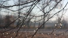 BIOSOURCE Giochi di luce invernali