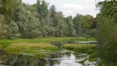 BIOSOURCE Lanca di Bernate Ticino