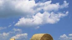 Martesana, terra d’acqua e di delizie