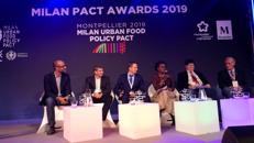food policy montpellier