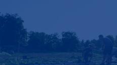 GreenBLU 1