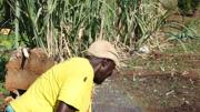 Nutrire il pianeta Mozambico