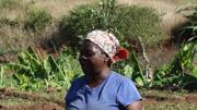 Nutrire il pianeta Mozambico