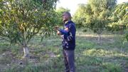 Nutrire il pianeta Mozambico