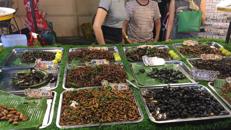 insetti cibo del futuro