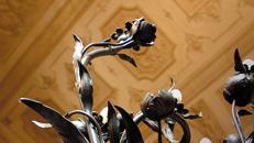 Fondazione Cariplo