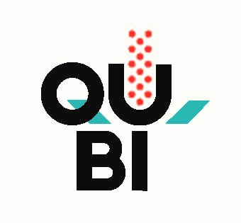 Logo qubi