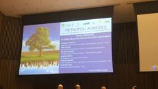 Metropoli agricole