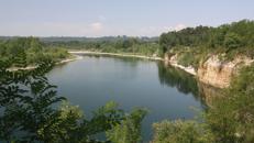 novara in rete