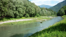 oglio