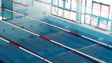piscina61
