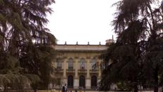 Polimi