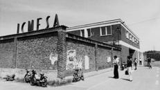 seveso tragedia
