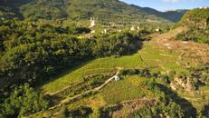 Valtellina