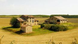 Vento 15