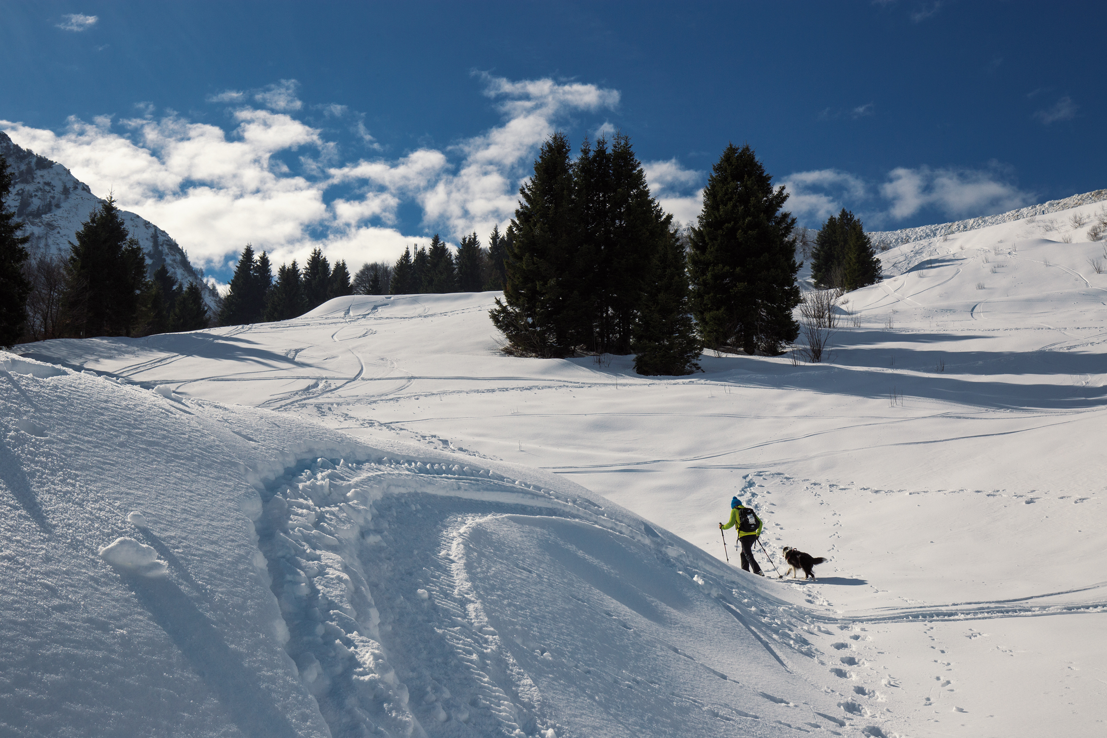 Montagne in Transizione: nuove strategie per una transizione ecologica