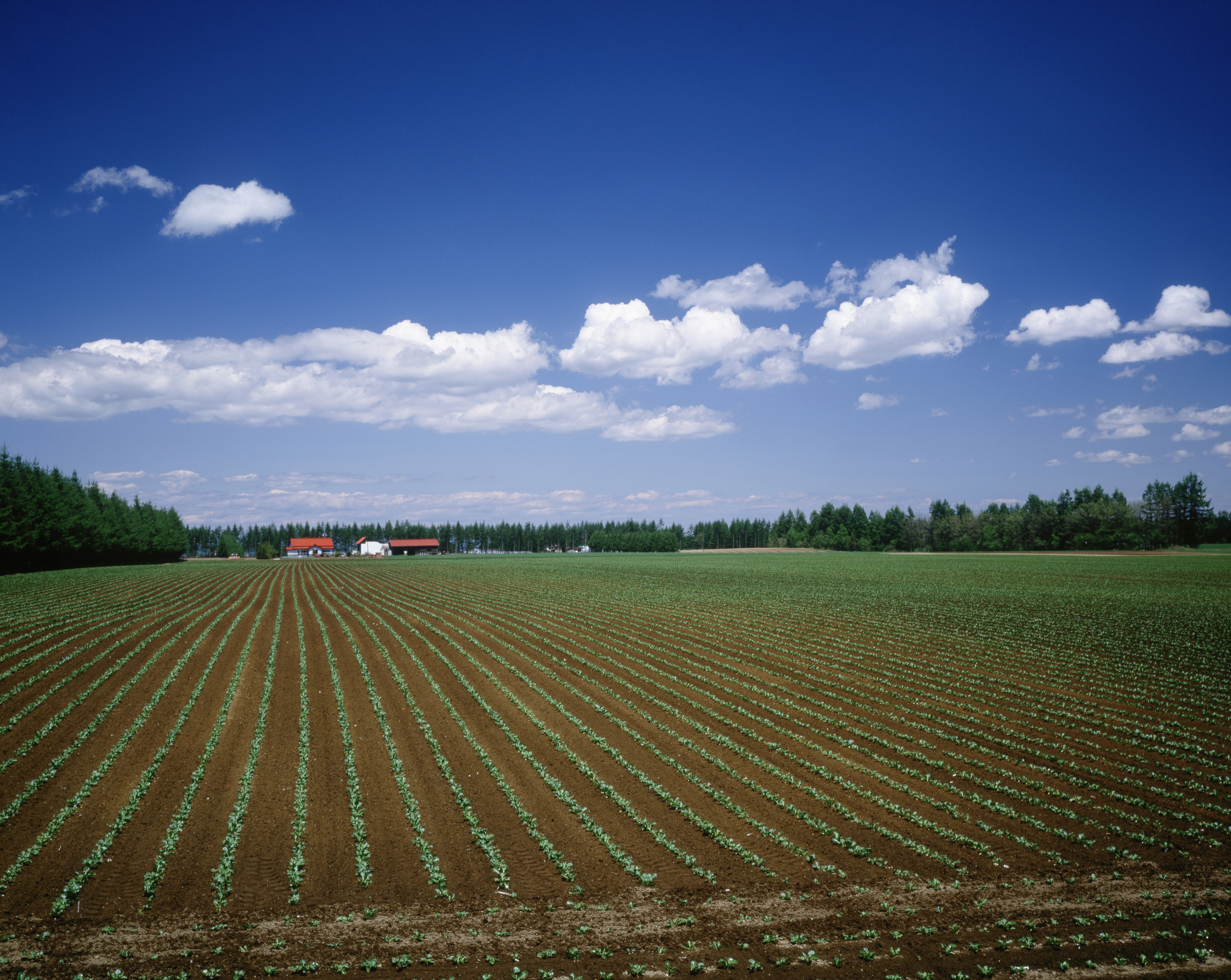 Metropoli Agricole 2024: dialoghi sul futuro dell’agricoltura ai margini della città