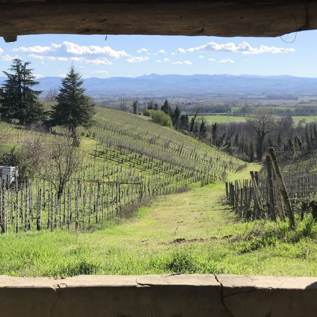 Progetto AgriECO: al via la Scuola dei Distretti del Cibo