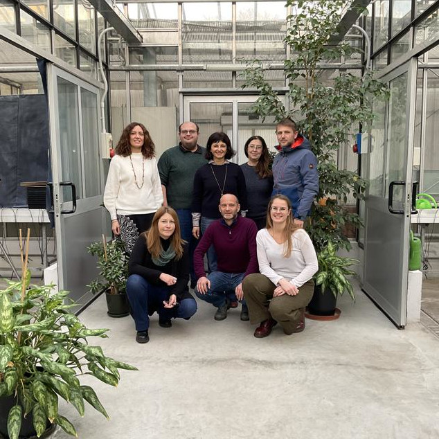 I progetti dei ricercatori Cariplo per il 2023