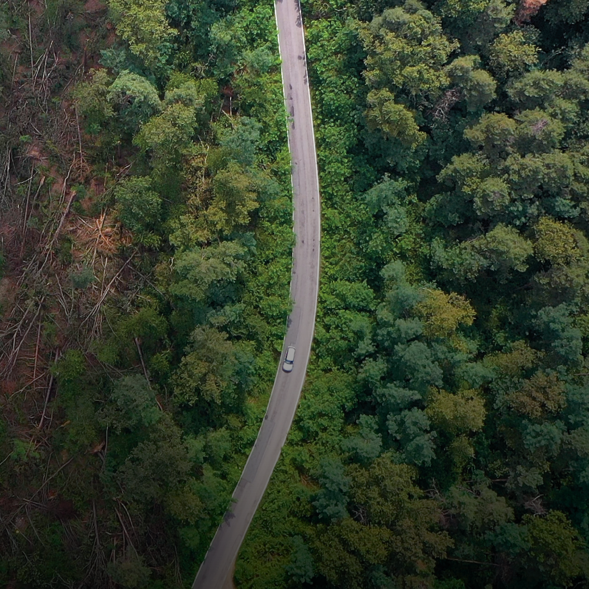 Strategie per la Transizione Climatica: città e territori protagonisti