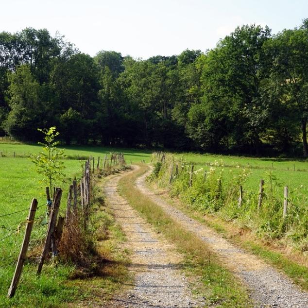 AgriECO: pubblicata la Call