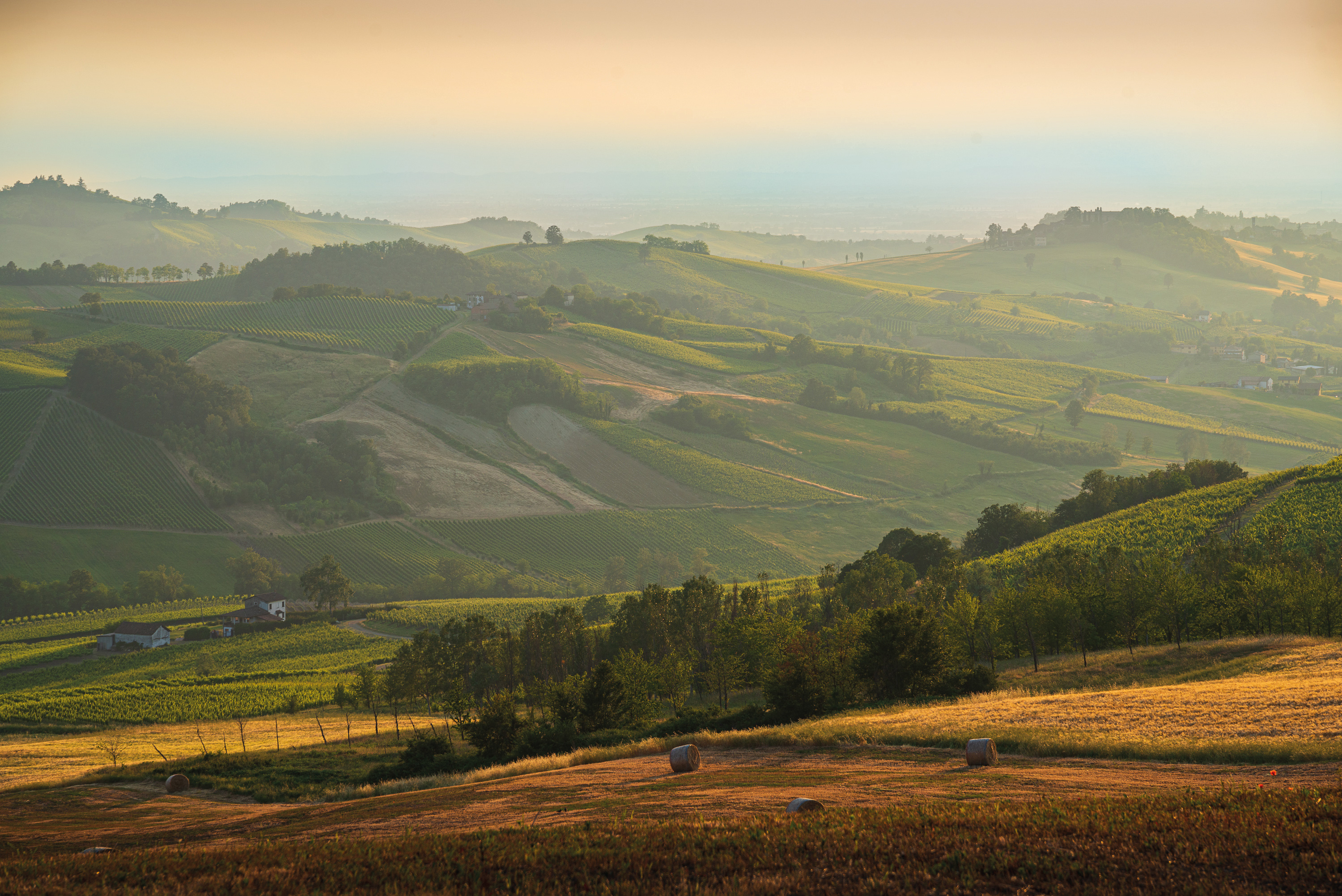 Fondazione Social Venture Giordano Dell’Amore entra in Colline e Oltre