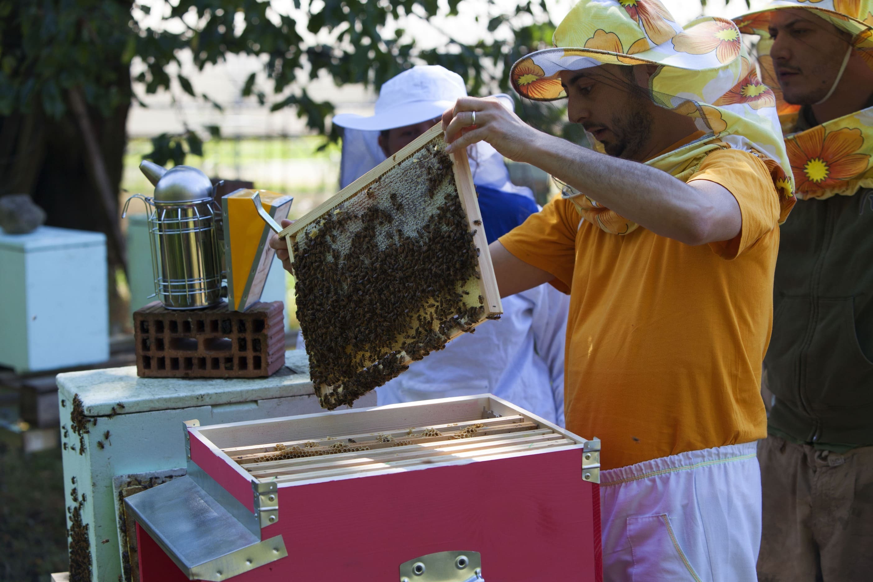 Agricoltura sociale: risultati, strumenti e prossimi passi