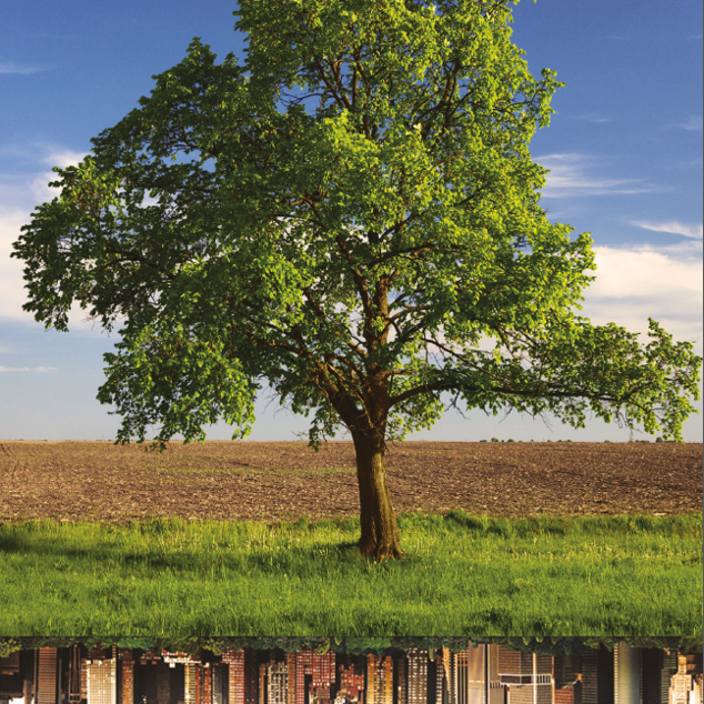 Metropoli Agricole: per un’agricoltura sostenibile in Italia e in Europa