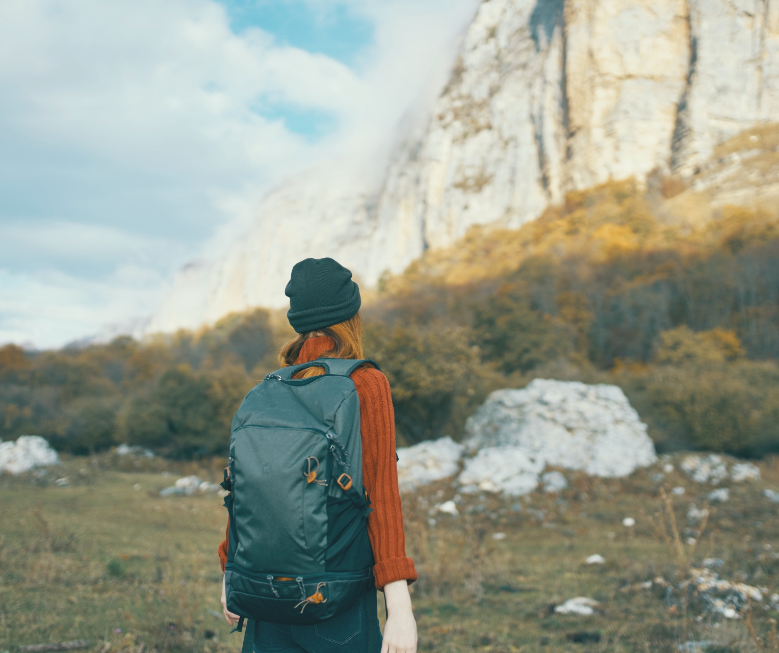 Progettare “Montagne in transizione”: un incontro online