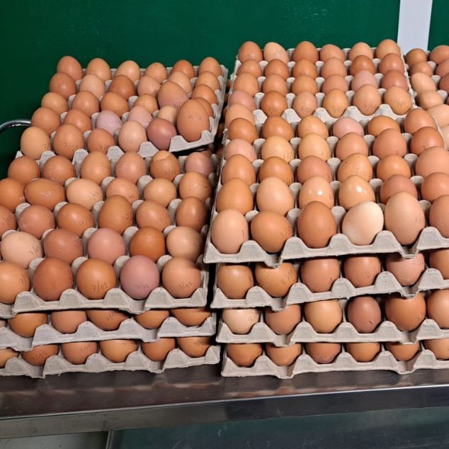 Progetto CIRCULAr: quando le uova diventano sostenibili e solidali