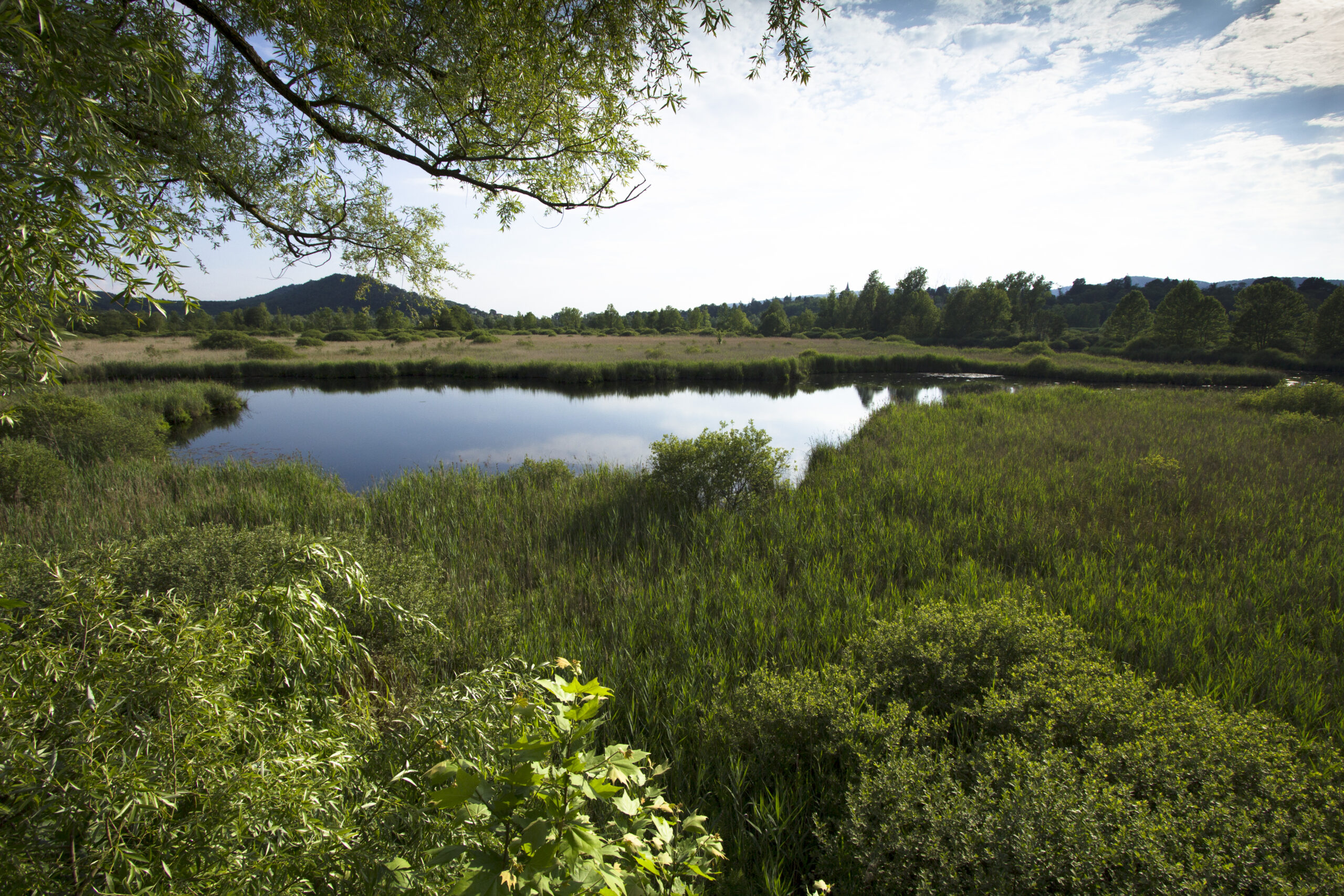 Cofinanziamento progetti europei